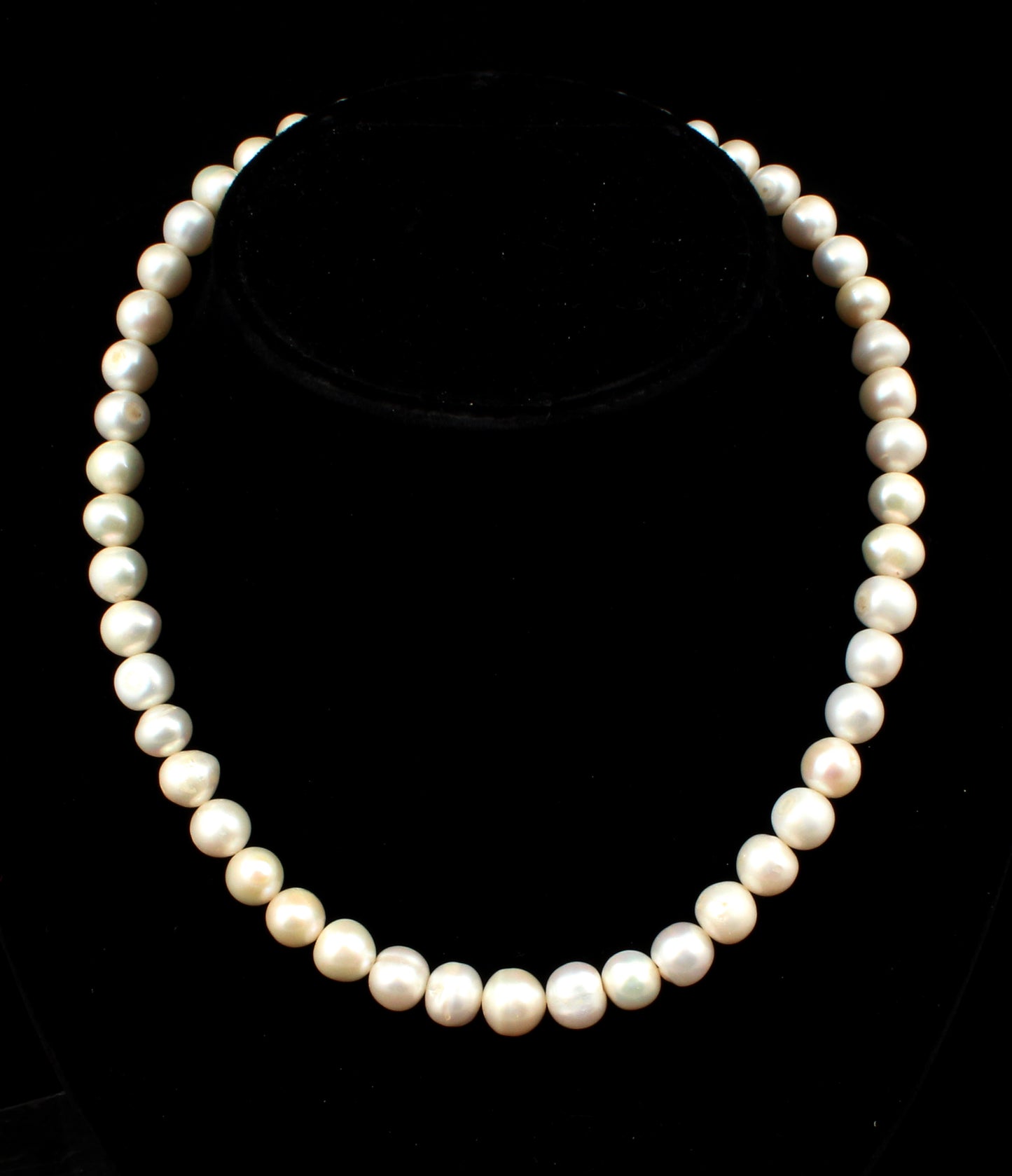 Pearl Round Beads